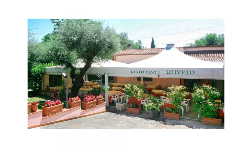 Ristorante Pizzeria Uliveto