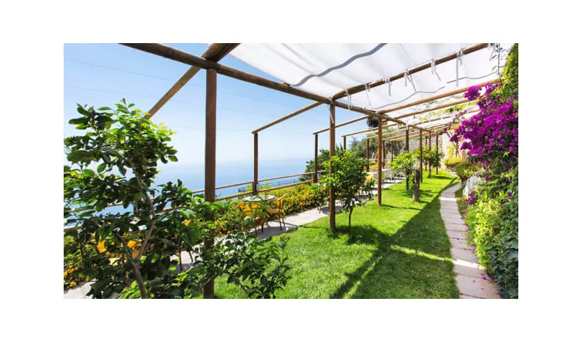 Hotel Holiday's Fico d'India
