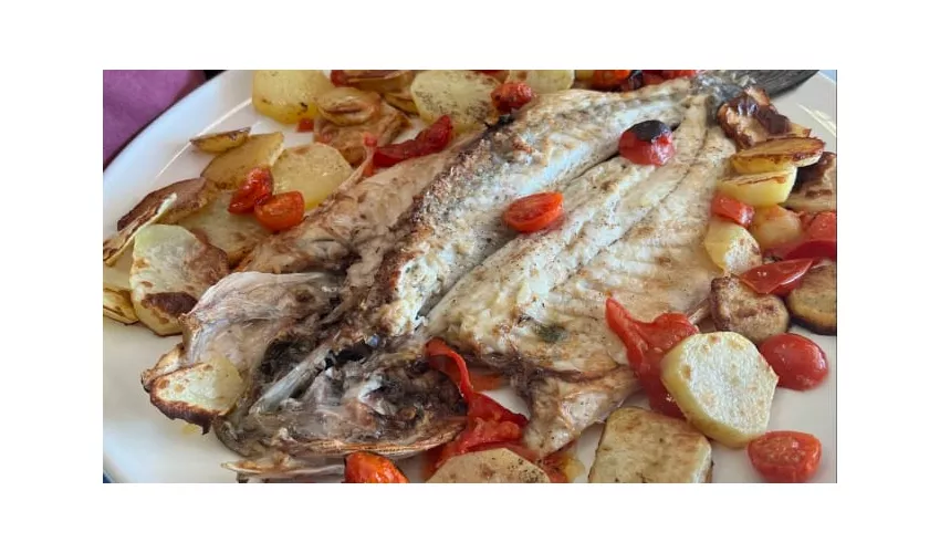 La Gattammare Ristorante Pizzeria Bar Santa Marinella