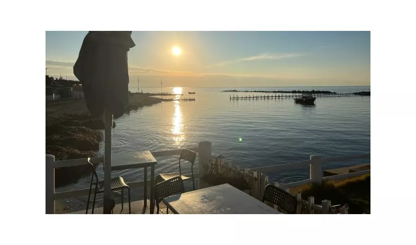 La Gattammare Ristorante Pizzeria Bar Santa Marinella