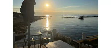 La Gattammare Ristorante Pizzeria Bar Santa Marinella