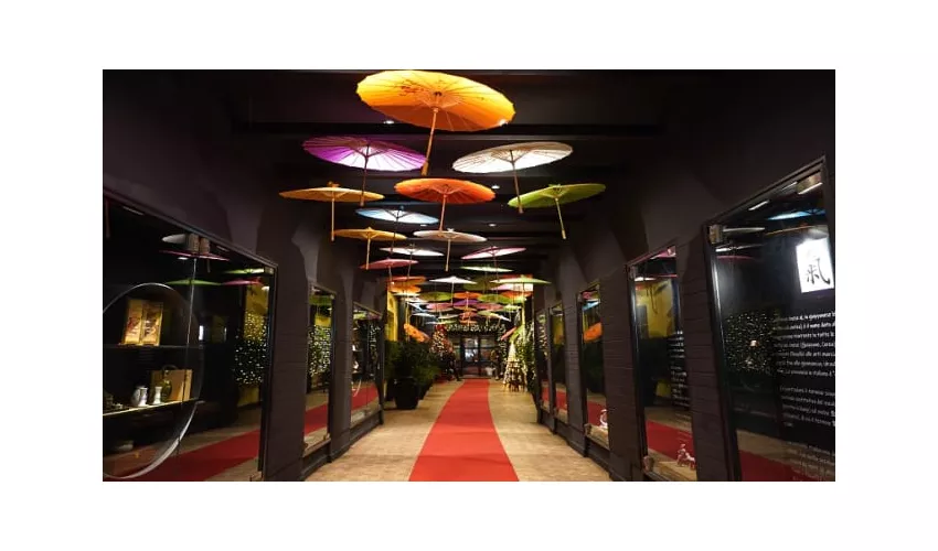 Yo' Fusion - Marconi