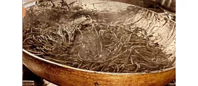La Spiaggia Di Focene