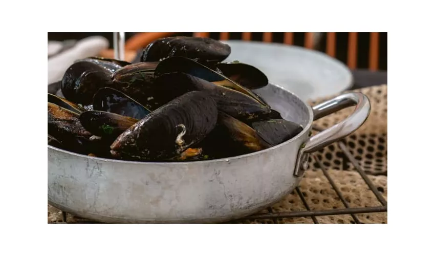 Bruna Bistrò Ristorazione di Mare, Aperitivi, Degustazioni, Menu Vegano e Vegetariano