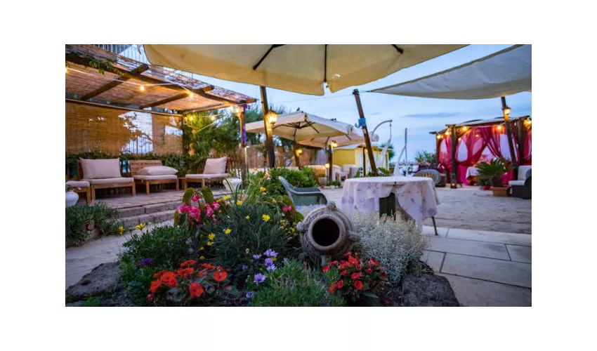 OASI Beach, Bar & Restaurant