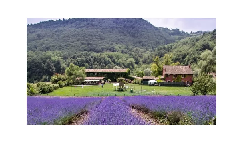 Agriturismo Boccapane