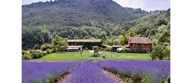 Agriturismo Boccapane