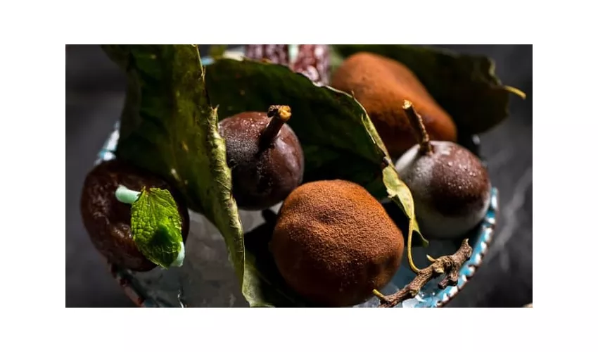 Satricum Food & Wine
