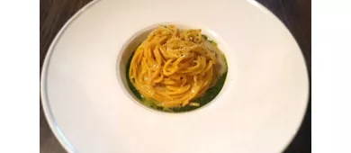 Il Cavaliere di Villa Olmi