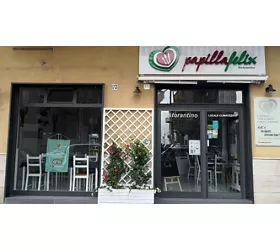Papilla Felix