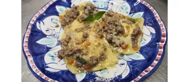 Papilla Felix