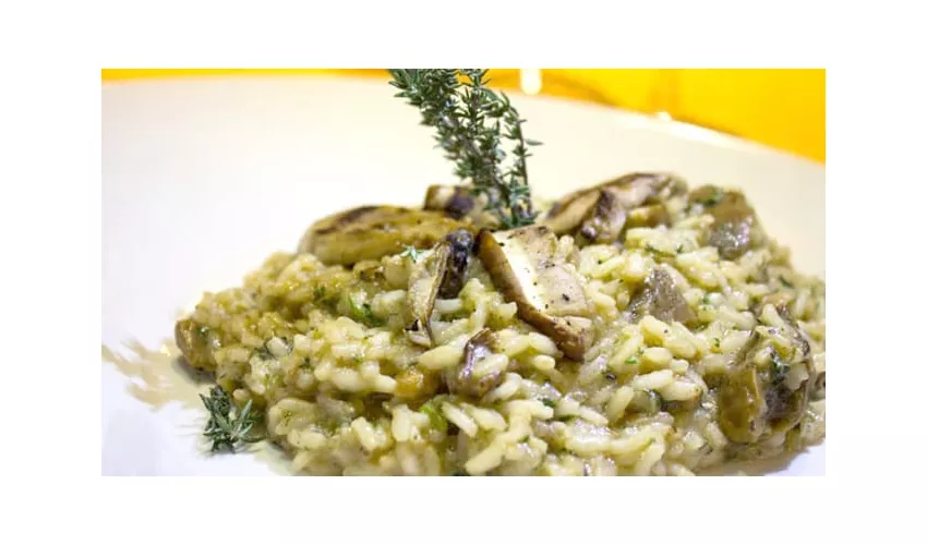 Trattoria da Bruno
