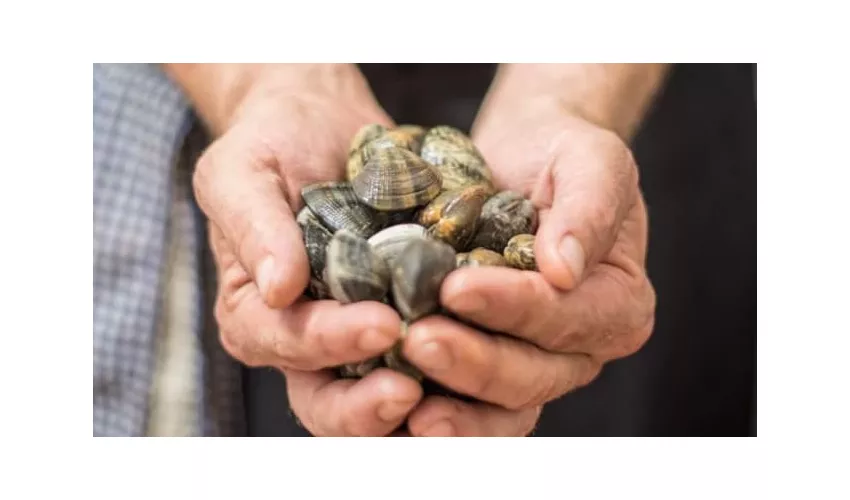 L'Osteria - Orbetello