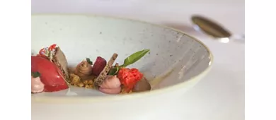 Relais & Chateaux Il Falconiere & Spa