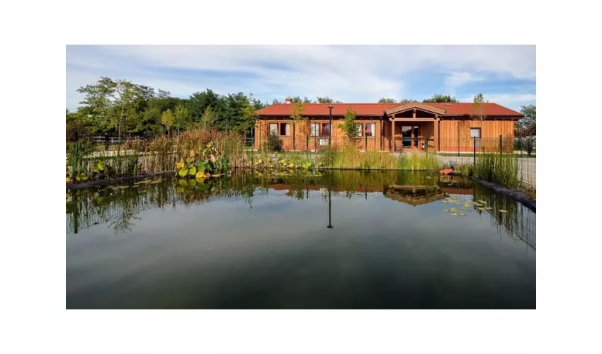 Agriturismo La Contea del Vignolo Fiorito