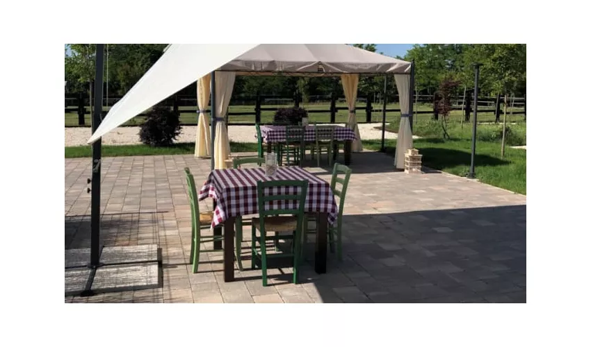 Agriturismo La Contea del Vignolo Fiorito
