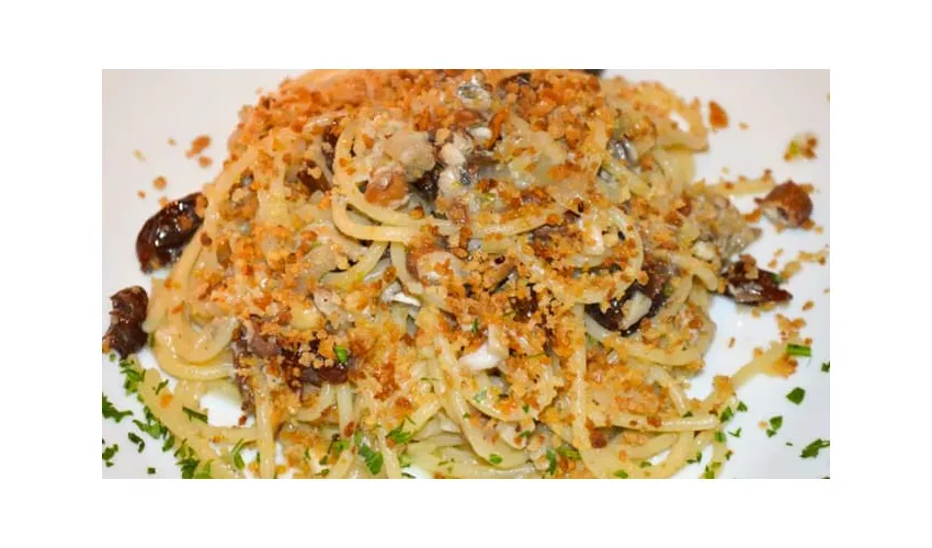 Gaia.Bio