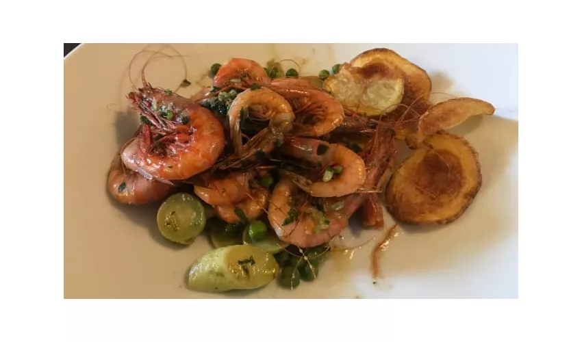 La Cicala