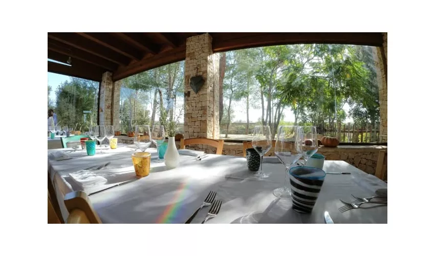 Agriturismo Puntarelle