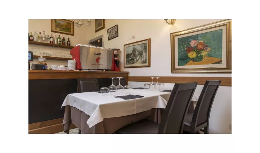 Matto Matto Firenze