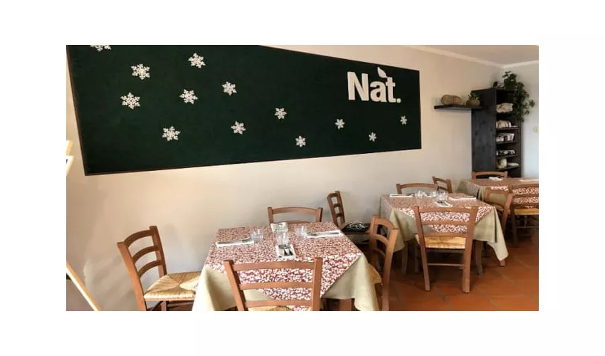 Nat. riso e dintorni