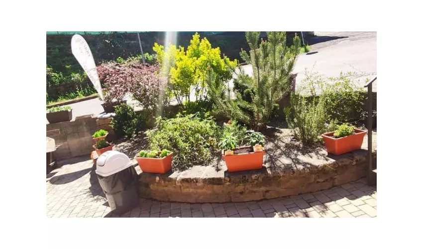 Bar Trattoria Il Pinolo