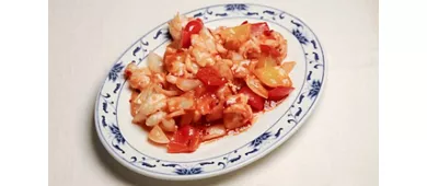 Kota Radja
