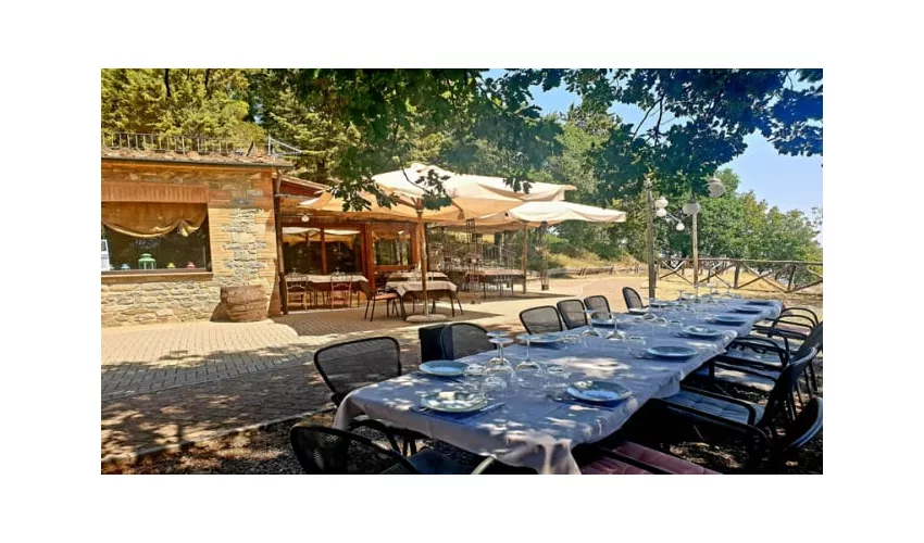 Il Cerchio Delle Streghe