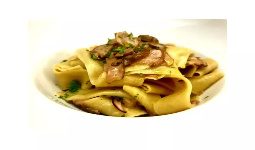 Il Cerchio Delle Streghe