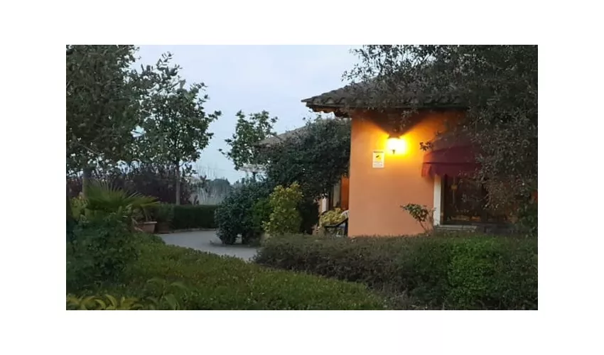 Osteria La Tagliola