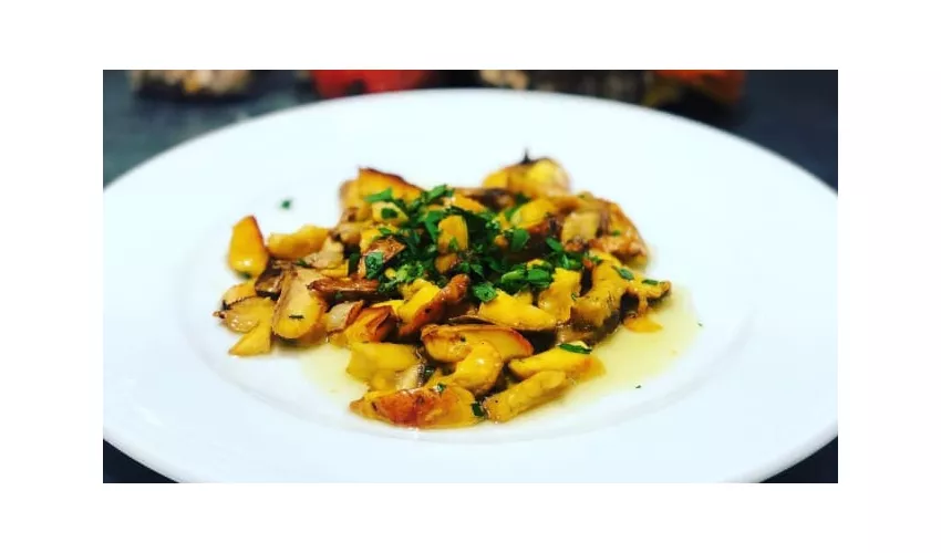 RISTORANTE AL FUNGO VELENOSO DI D`URSO CARMELA