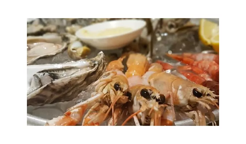 REM La terrazza nel borgo - Tropea