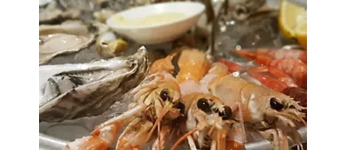 REM La terrazza nel borgo - Tropea