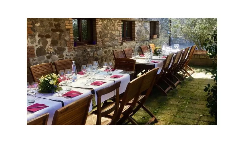 Tenuta Vitalonga Winery