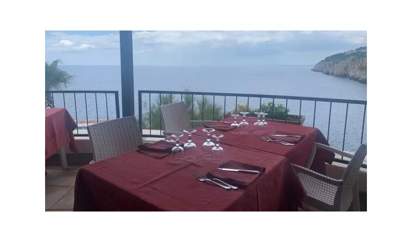 Ristorante Bar La Zinzulusa