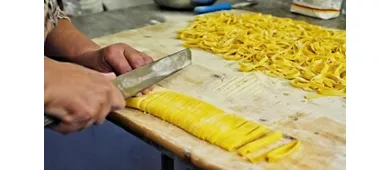 Il Grifoncino