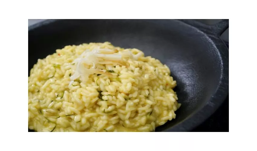 Il Grifoncino
