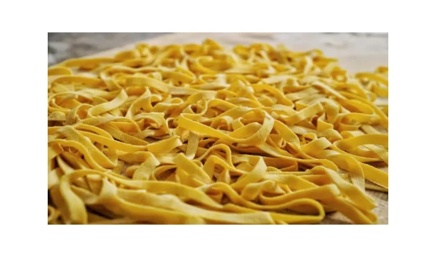 Il Grifoncino