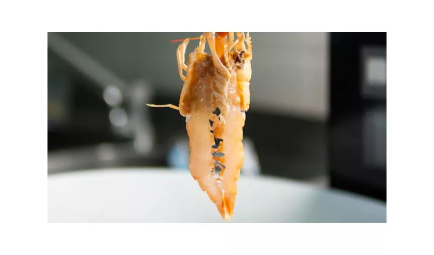 Ristorante Sottomarino