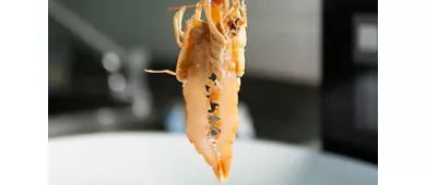 Ristorante Sottomarino