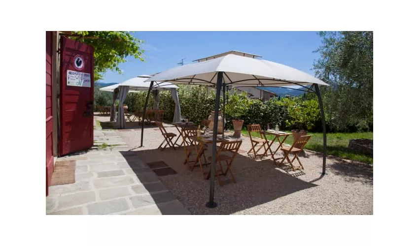 Agriturismo Ulivello in Chianti