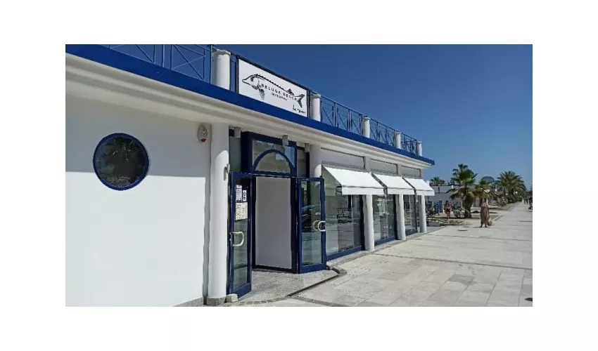 Beluga Beach Restaurant