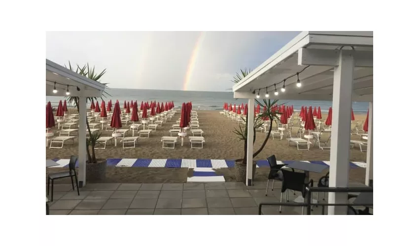 Beluga Beach Restaurant