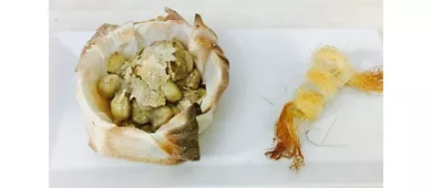 Ristorante il Galeone