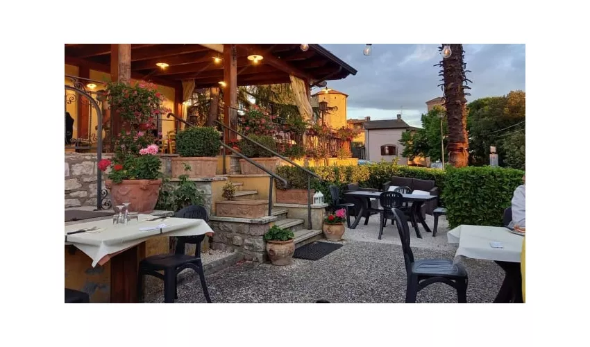 Al Leone Snc Di Menghella Leonardo E Migani Claudia