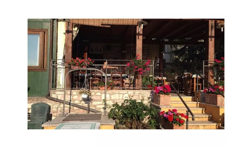 Al Leone Snc Di Menghella Leonardo E Migani Claudia