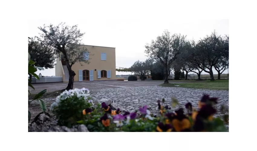 Villa Petrinum