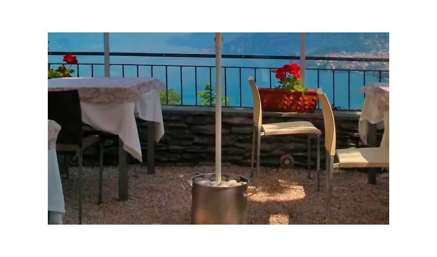 Ristorante Il Ceppo 1974 Srl