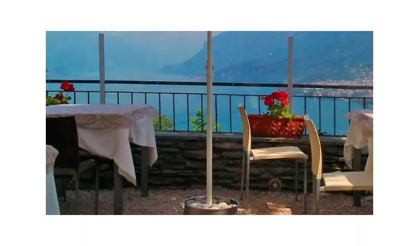 Ristorante Il Ceppo 1974 Srl