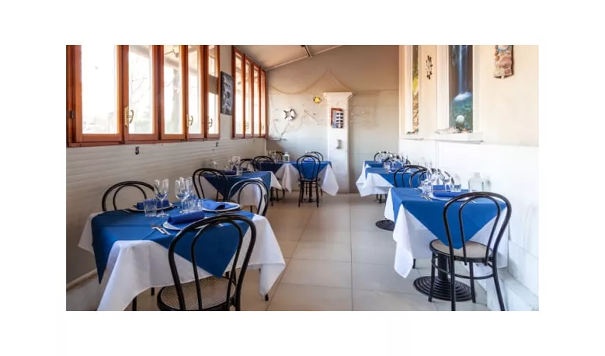 Trattoria Mediterranea